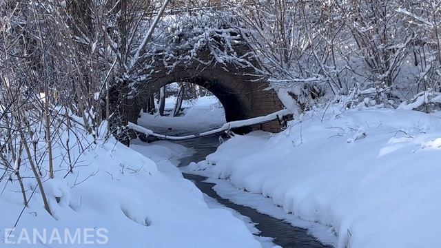 Бугульма Январь 2023 смотреть онлайн