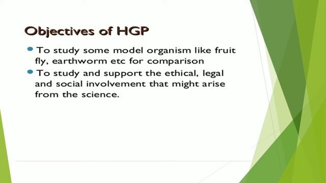 molecular Basis of Inheritance lecture 13 human genome project By ROHIT SIR смотреть онлайн