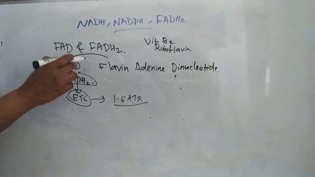 NADH, FADH2, NADPH / Biochemistry