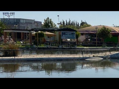 حديقة الطيور بفاس Парк птиц в Фесе, Марокко смотреть онлайн