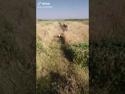 косилка мотоблока смотреть онлайн