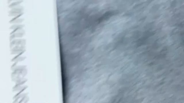 Штаны серые Ck L смотреть онлайн