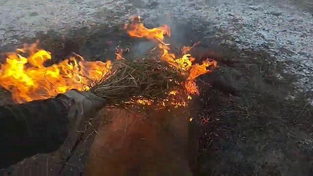 Осмаливание поросёнка льном смотреть онлайн