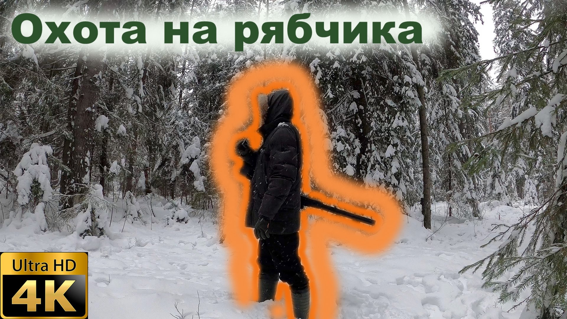 Охота на рябчика в Ленинградской области смотреть онлайн