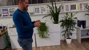 Сетка Хартмана. Как определить геопатогенные зоны в квартире и на работе.