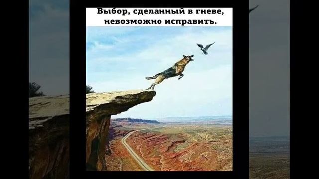ПРЕКРАСНАЯ МУЗЫКА.С МУДРЫМИ СЛОВАМИ.. смотреть онлайн