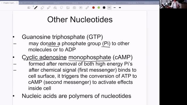 1200 Ch 5 macromolecules nucleotides смотреть онлайн