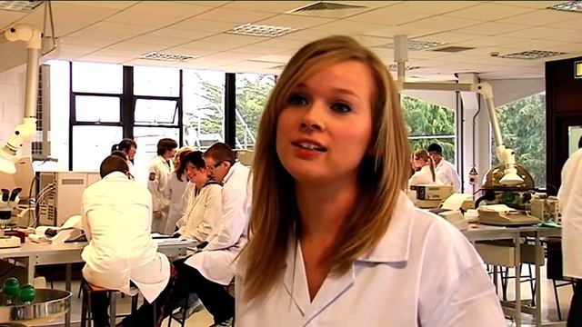 Bachelor of Science in Pharmaceutical and Industrial Chemistry at the University of Limerick LM061 смотреть онлайн