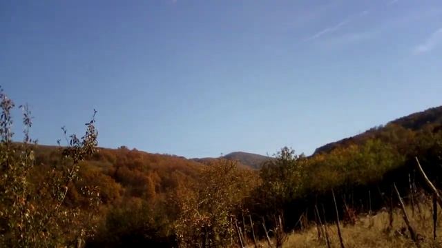 Влог из деревни (грустная история про кота) смотреть онлайн