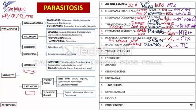 Protozoarios y Gusanos смотреть онлайн