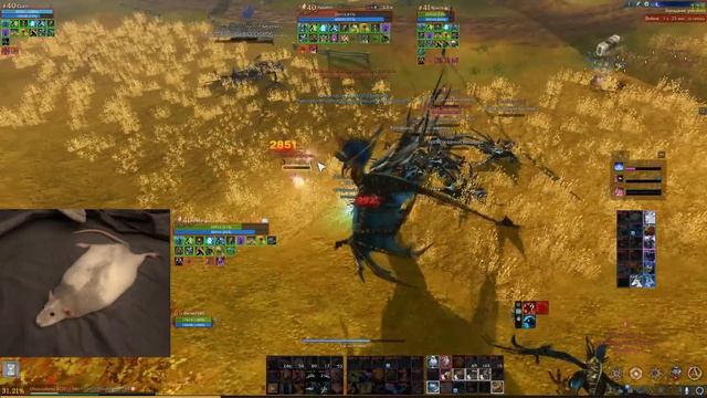 Archeage Нужны маги на стяжку смотреть онлайн