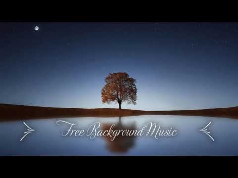 1 Hour Plus Upbeat Background Music (Best MBB Music Collection) Free Download, No_Copyright