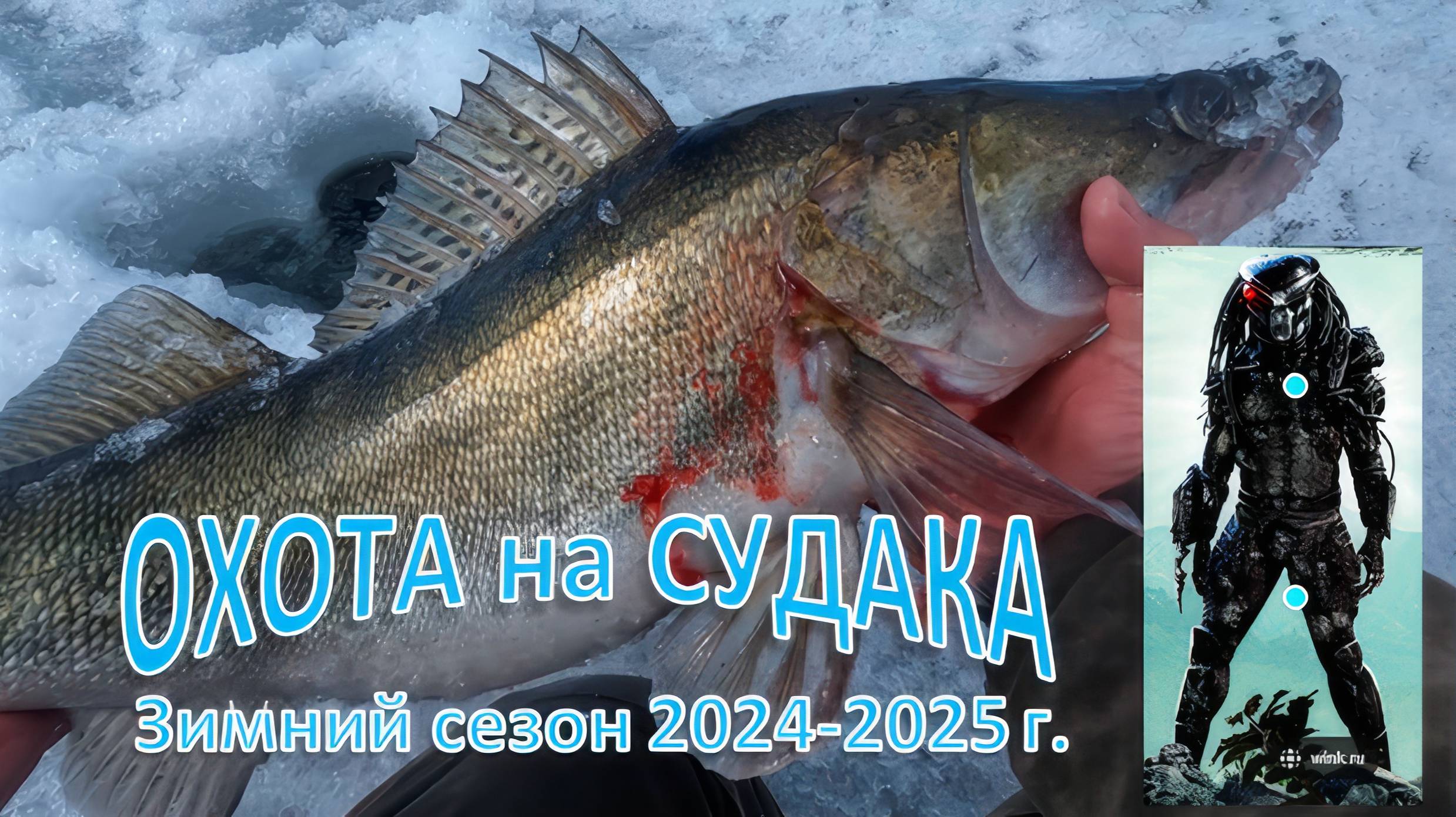 Открытия зимнего сезон 2024-2025 . Хищник на Судака! смотреть онлайн