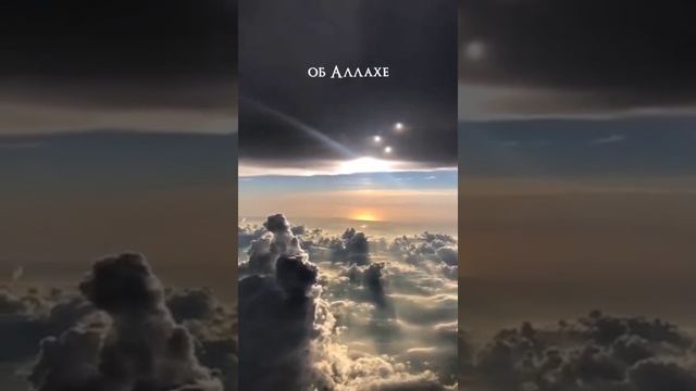 Напоминание 🌻#ислам #мусульмане #любовь #islam #аллах #ummah #умма #коран #напоминание #истина смотреть онлайн