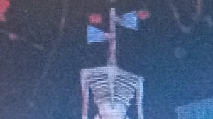 Сиреноголовый