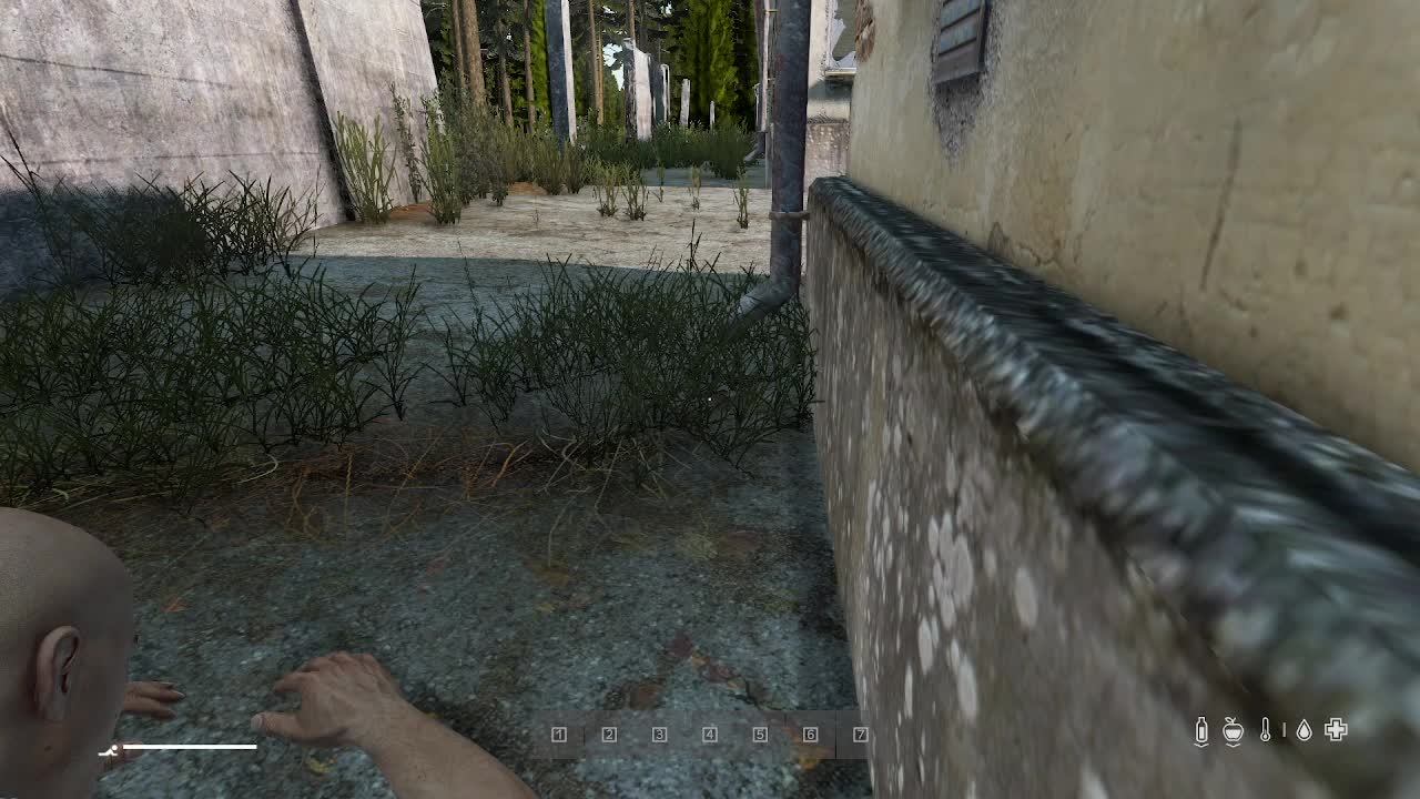 DAYZ УЧИМСЯ ИГРАТЬ В ДЭЙЗ смотреть онлайн