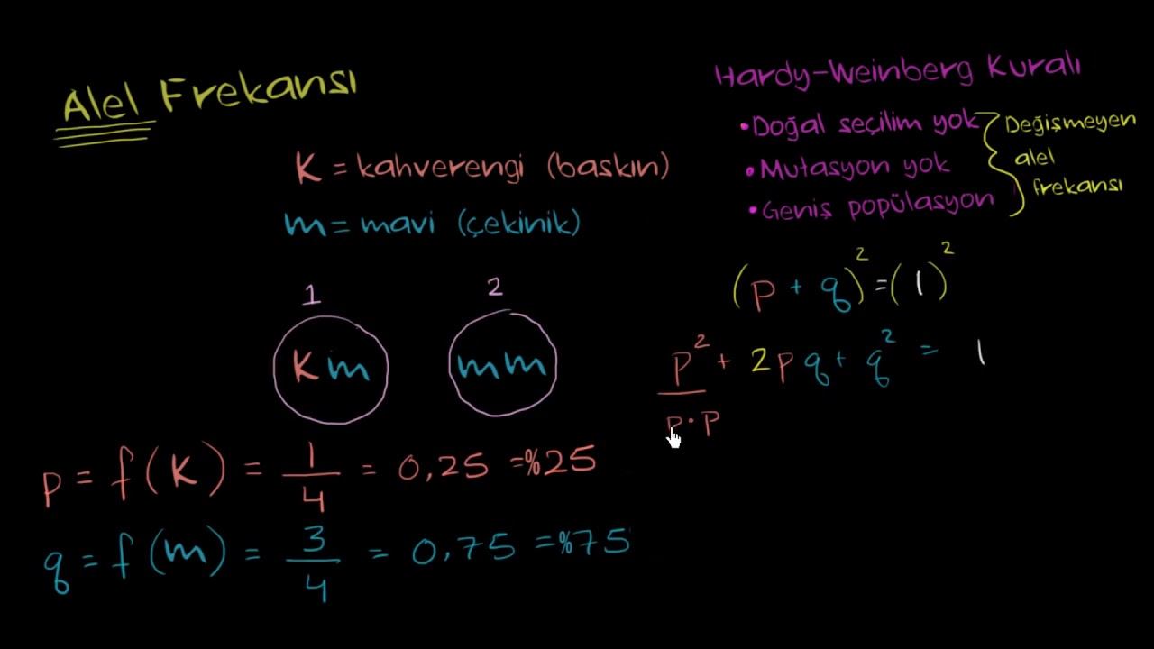 Hardy-Weinberg Kuralı (Fen Bilimleri) (Biyoloji) смотреть онлайн