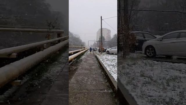 зима в Сочи 22 декабря 2021 года смотреть онлайн
