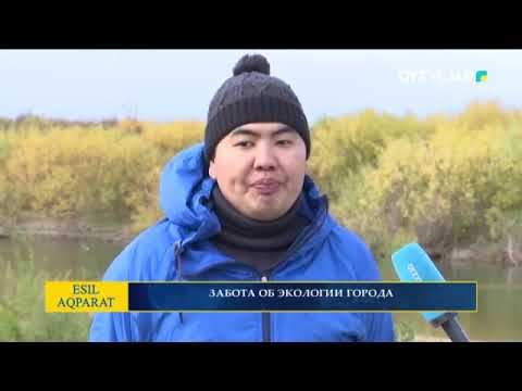 ЗАБОТА ОБ ЭКОЛОГИИ ГОРОДА смотреть онлайн