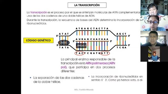 2A Biología semana 3 смотреть онлайн