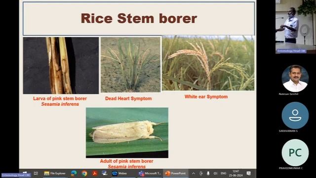 Guest Lecture on _Current trends in Rice pests management in the state of Kerala смотреть онлайн