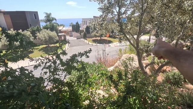 Atlantica Bay Hotel, Limassol Cyprus - A 2024 Tour. смотреть онлайн
