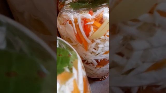 маринованная капуста с помидорами смотреть онлайн
