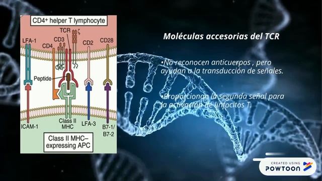 PARTE4 INMUNO смотреть онлайн