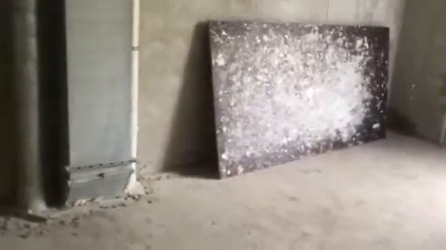 Хотите просыпаться в квартире с запахом хвойного леса? смотреть онлайн