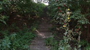 1 Чёрные зеркала пространств