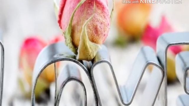 Картинки,часть 1! смотреть онлайн