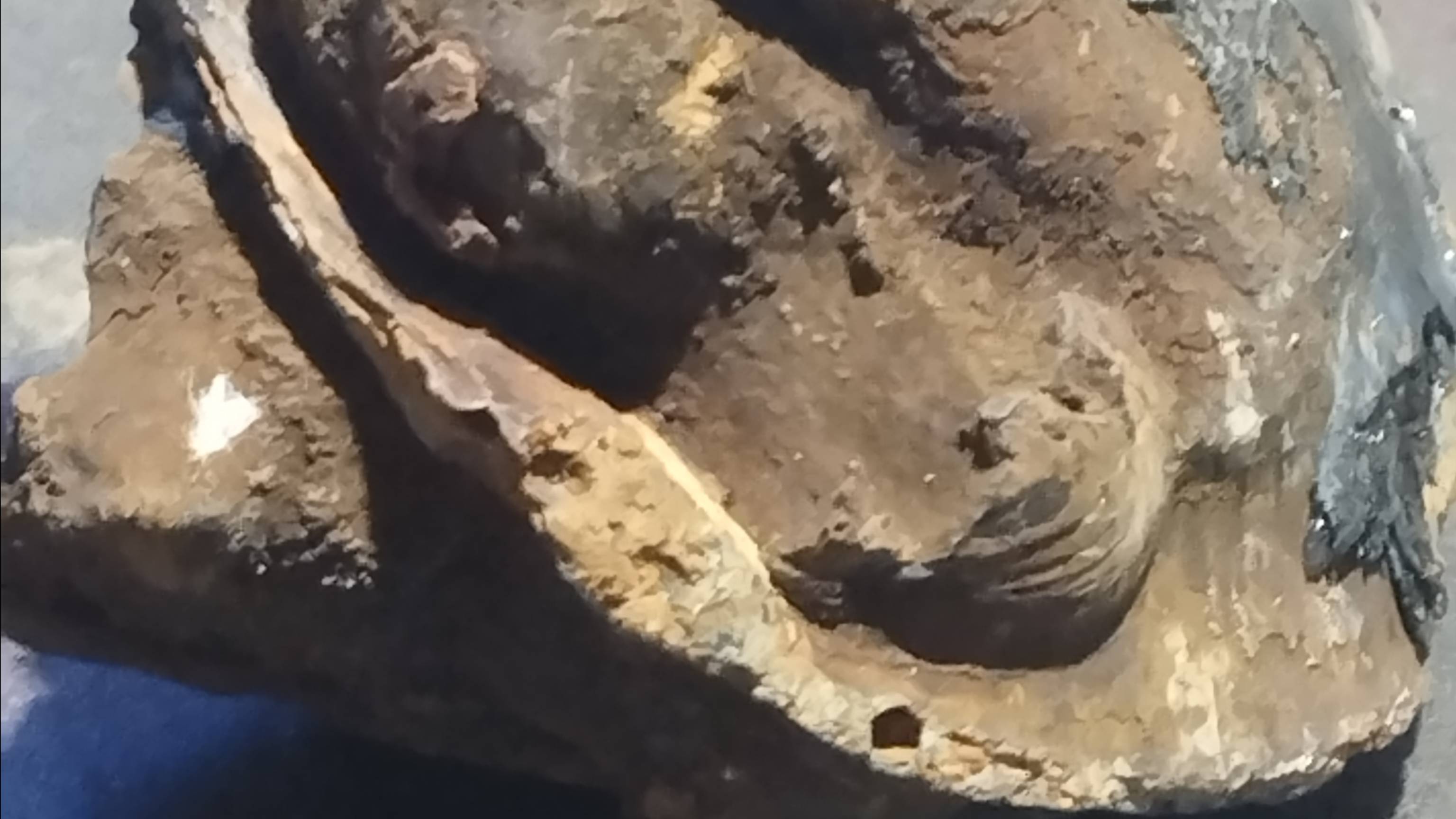 VID_20241125_142616 смотреть онлайн