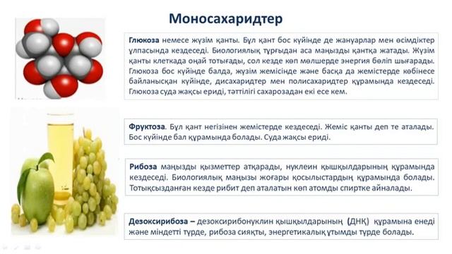 Моносахаридтер,дисахаридтер,полисахаридтер, Комiрсулардын касиетi жане кызметтерi. смотреть онлайн