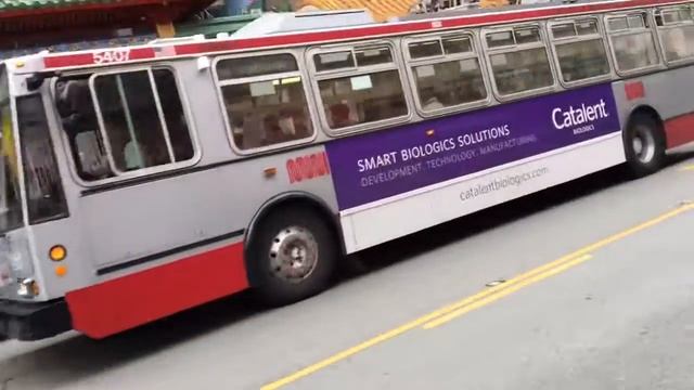 SF Muni 5407 смотреть онлайн