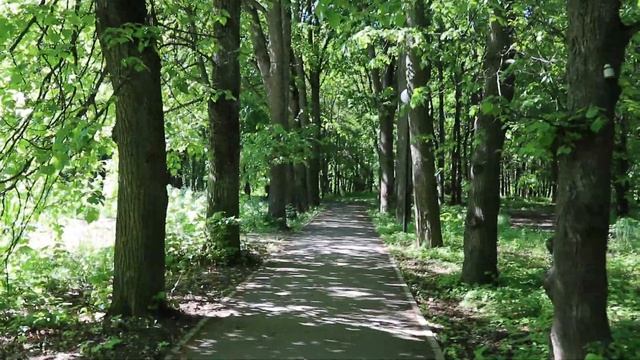 Парк Ботаника 22.05.2021 (2) смотреть онлайн