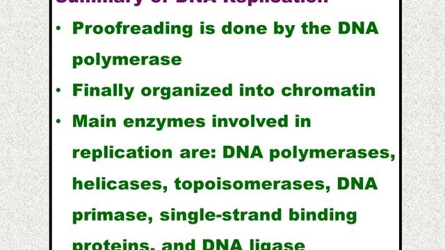 DNA Replication, Repair, Recombination