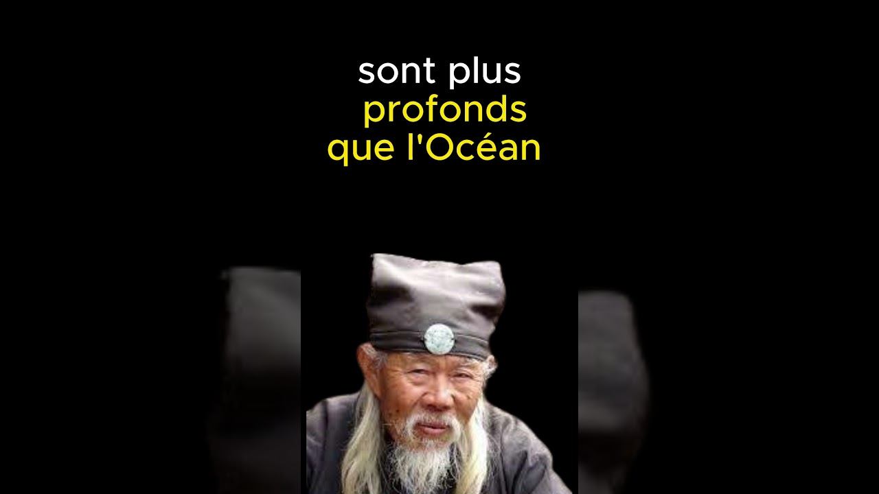 Les meilleurs proverbes Japonais #proverbes #amour#motivation #citation #inspiration #réflexion смотреть онлайн
