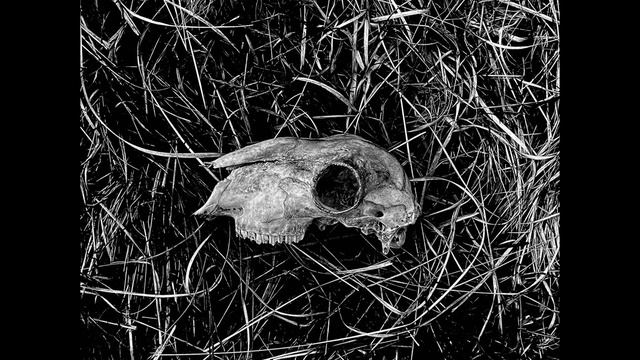 Fatalist - Ruination EP смотреть онлайн