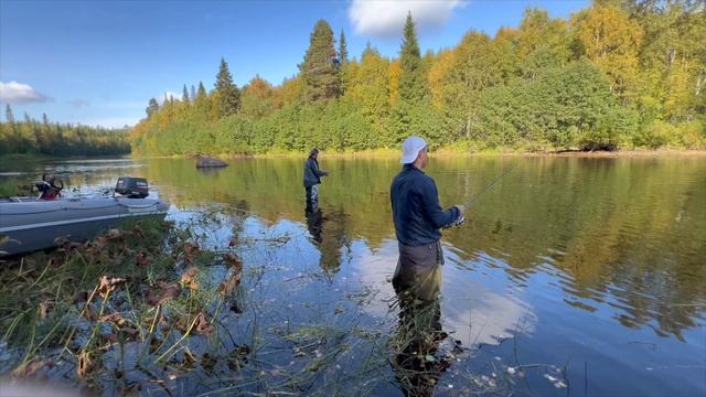 FISH AND TRIPS
