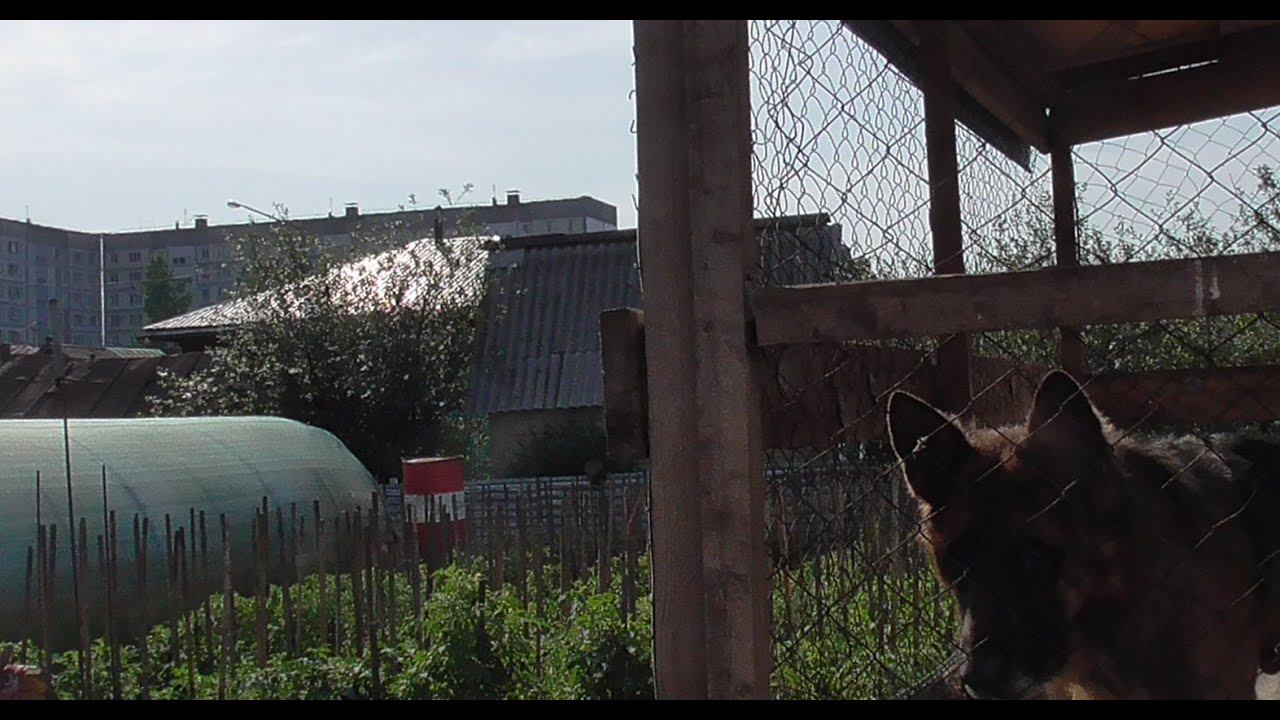 ОБЗОР 25 МАЯ. ОБО ВСЕМ ПОНЕМНОГУ. Ольга Чернова. смотреть онлайн