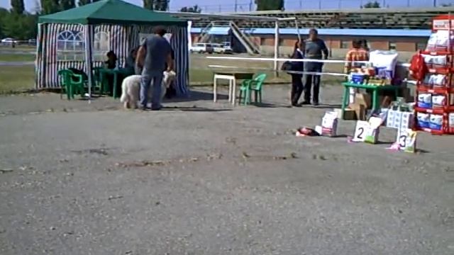 27 мая 2012 год, региональная САС смотреть онлайн