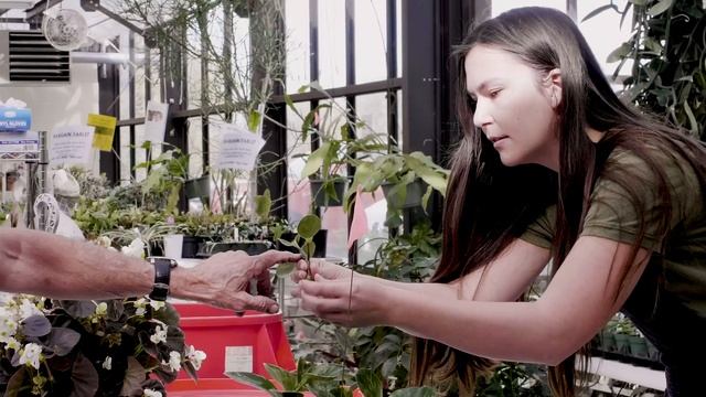 Therapeutic Horticulture at Wilmot Botanical Gardens смотреть онлайн