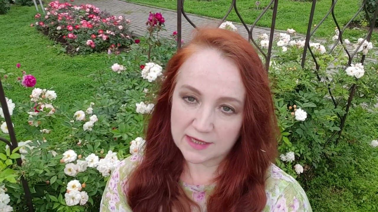 Семена Творения смотреть онлайн