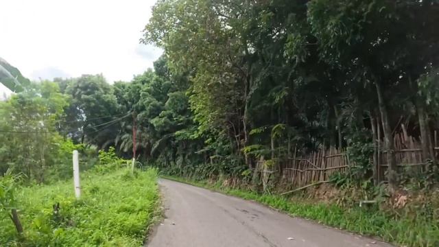 MENJELANG LIBUR NATARU seperti apa kondisi RUTE TENGAH puncak2 DARI CIBINONG смотреть онлайн