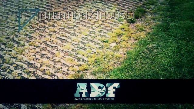 Promo ADF 2013 (Aaltjesdagen Dance Festival) смотреть онлайн