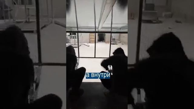 Вот что значит полное погружение в мир танков. Поддержите мой канал ЛАЙКОМ и Подпиской . смотреть онлайн