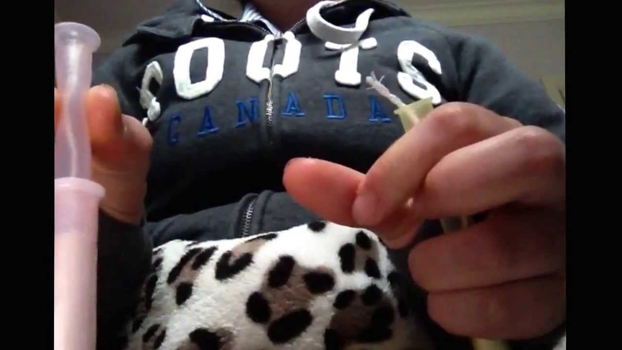 Lil-lets and tampax compact regular tampons xox смотреть онлайн