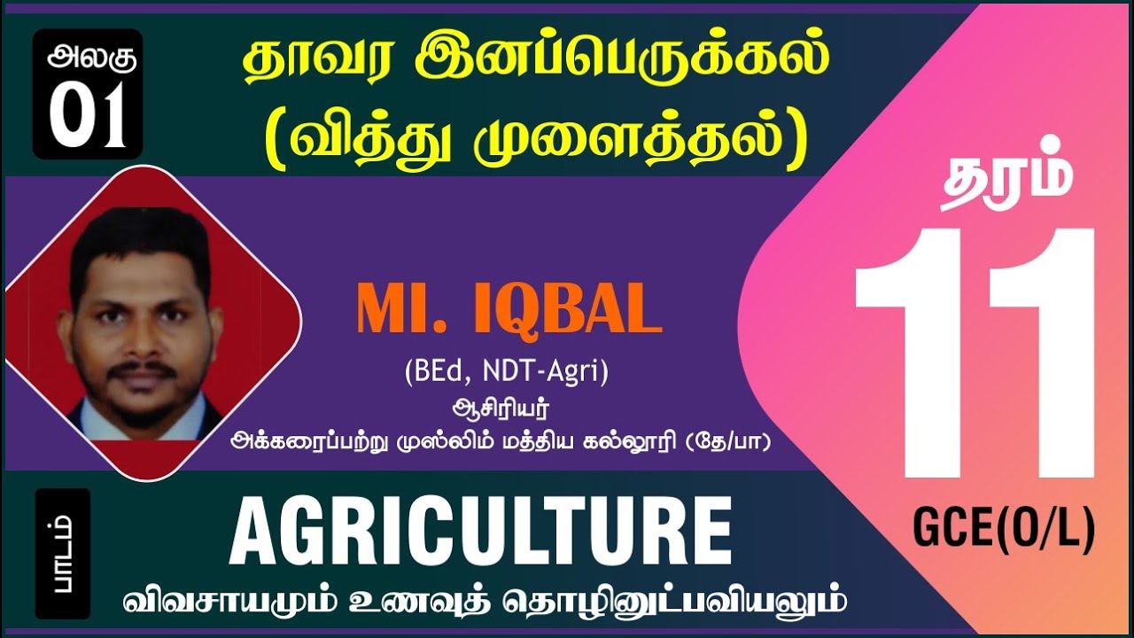 வித்து முளைத்தல் (Seed germination) | Grade 11| Unit 01 | Mr. MI. இக்பால் | Be Positive Tamil смотреть онлайн
