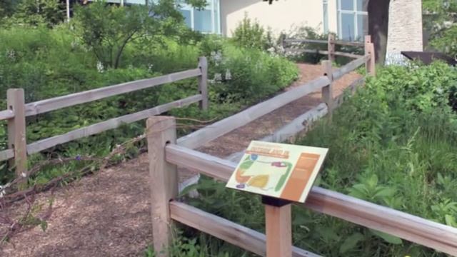 "Nature Trails" at Peggy Notebaert Nature Museum is Chicago's newest urban oasis смотреть онлайн