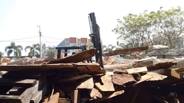 Mengerikan Wajah Raja Jin Di Kayu Trembesi Asal Papua Tembus Harga 5 Milyar I Gergaji Sawmill